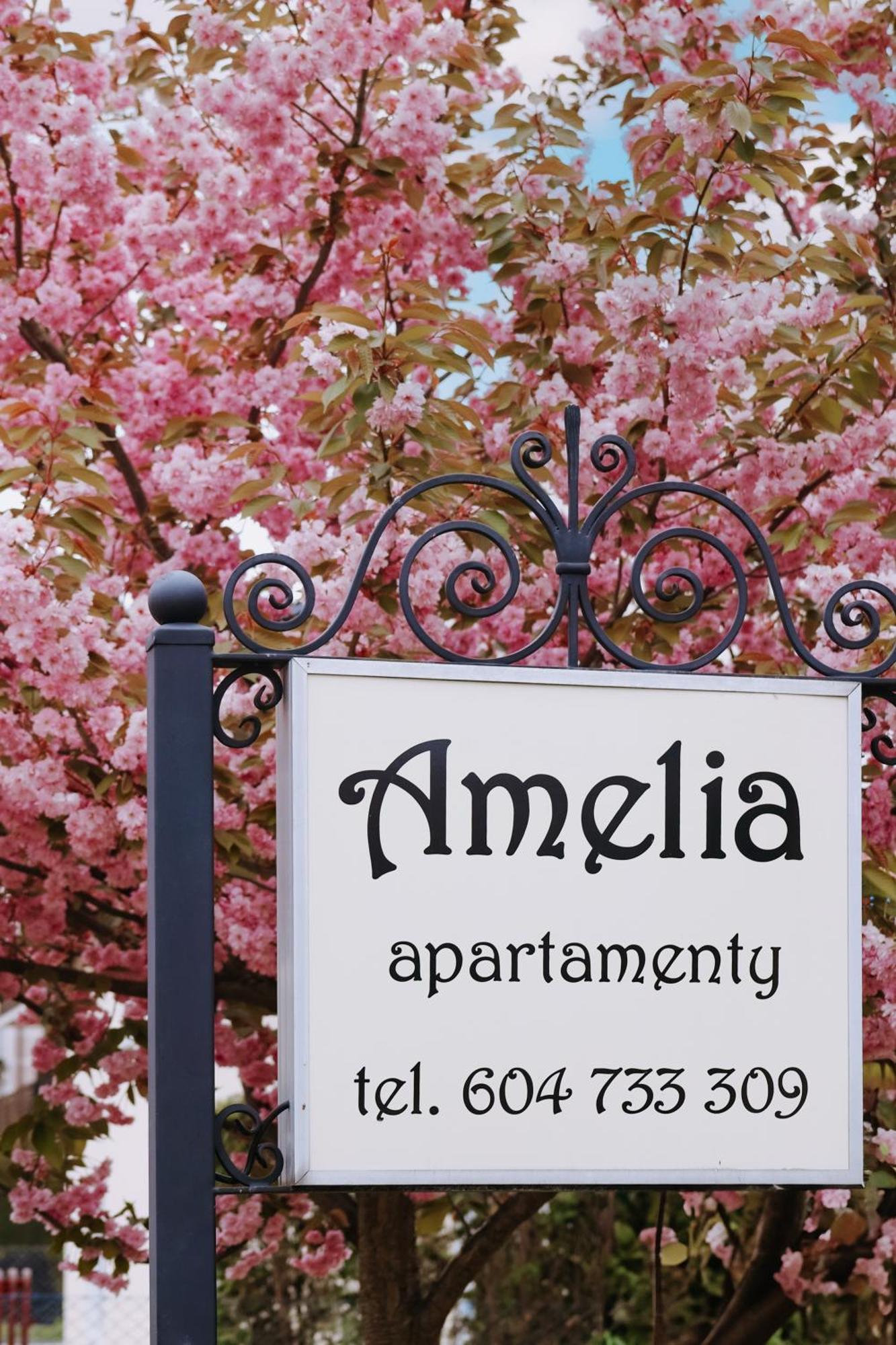 Amelia Apartamenty - Sala Zabaw, 2 Sypialnie, Garaz Podziemny Wladyslawowo Luaran gambar