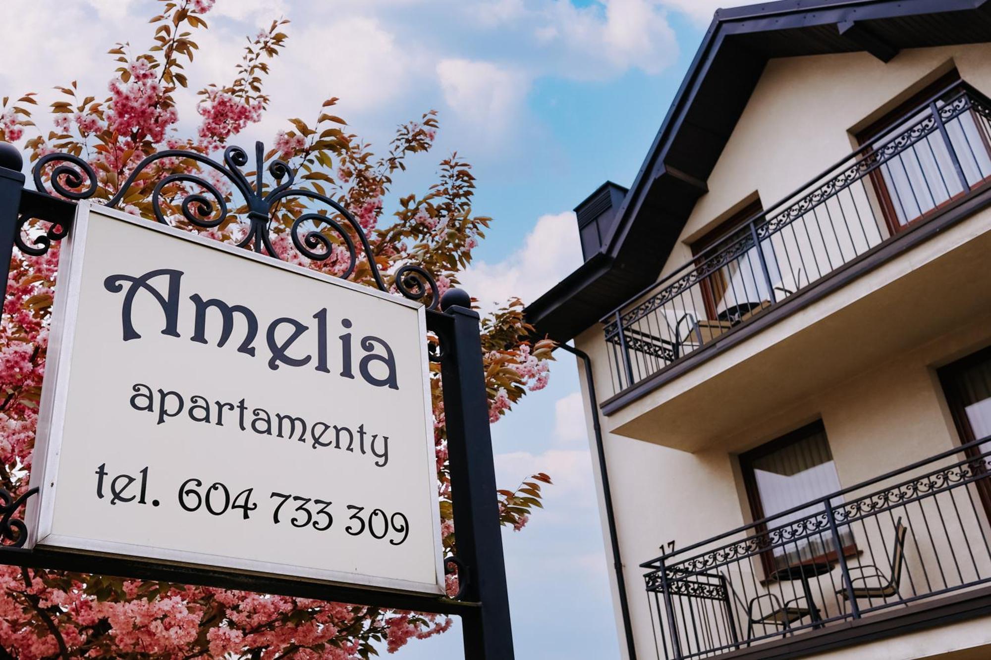 Amelia Apartamenty - Sala Zabaw, 2 Sypialnie, Garaz Podziemny Wladyslawowo Luaran gambar